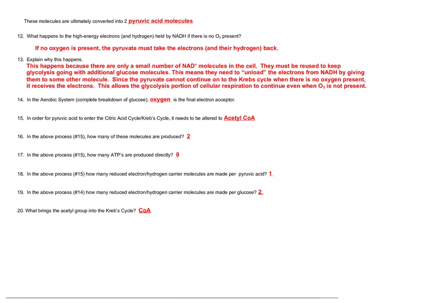 Glycolysis and Formation of Acetyl-CoA  Worksheet Answers - Page 2