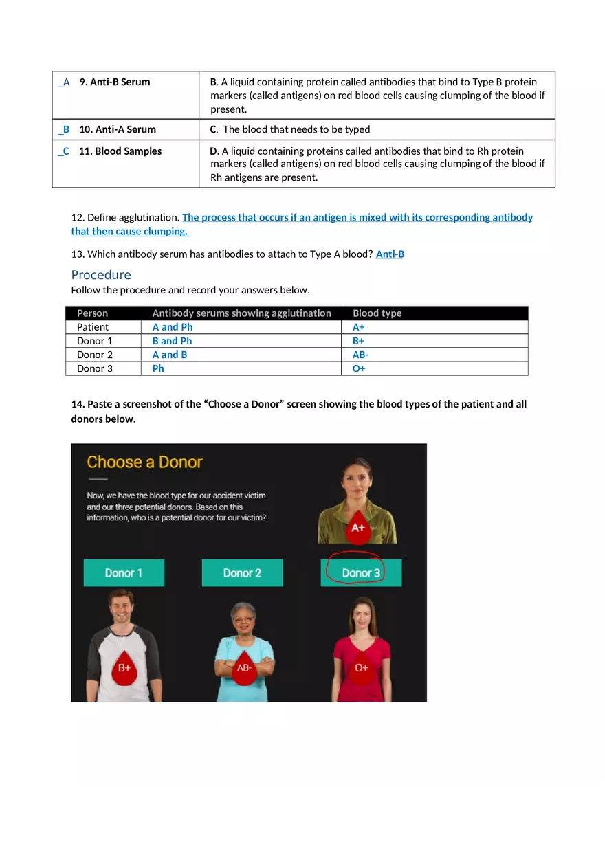 Virtual Blood Typing Transfusion Lab - Page 2