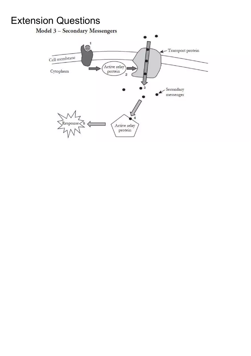 Signal Transduction Pathways - Page 8