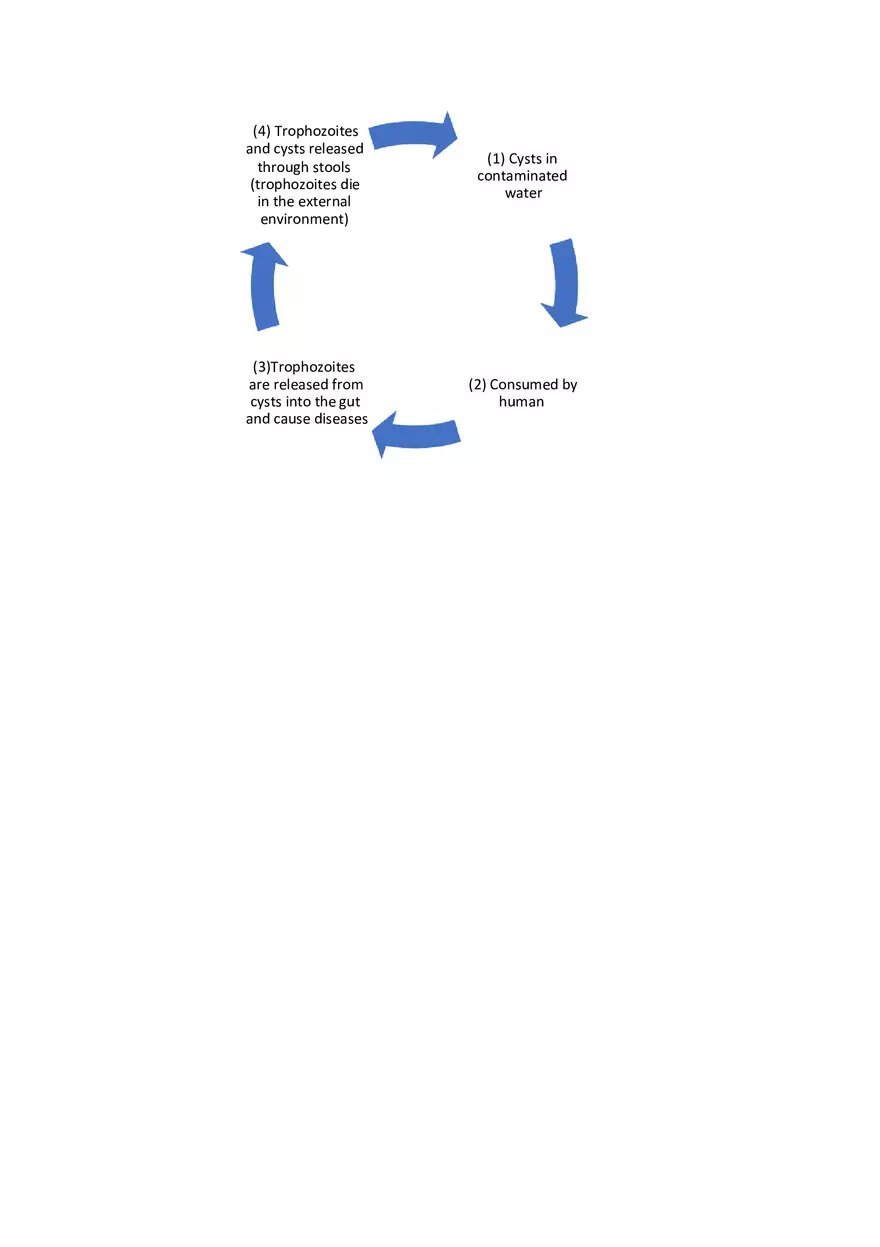 Giardia - Page 2