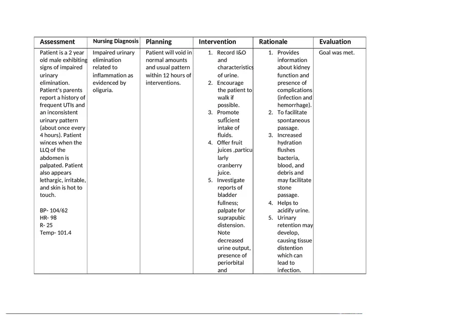 Hydronephrosis Care Plan - Page 1