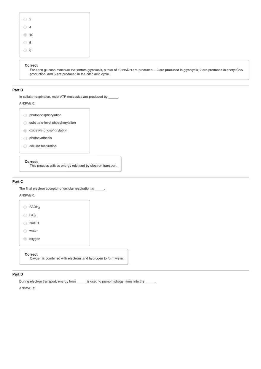 Activity The Calvin Cycle - Page 7