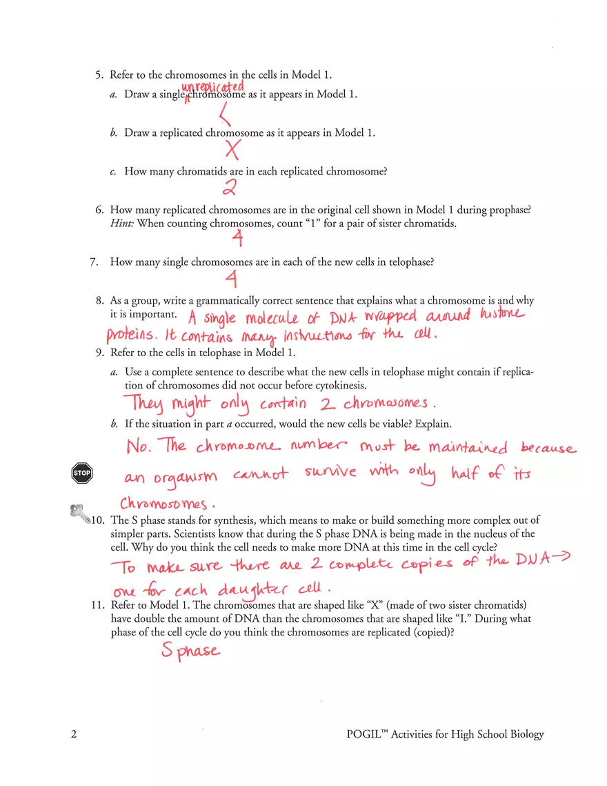 Mitosis POGIL Key - Page 2
