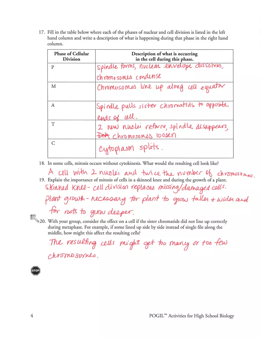 Mitosis POGIL Key - Page 4