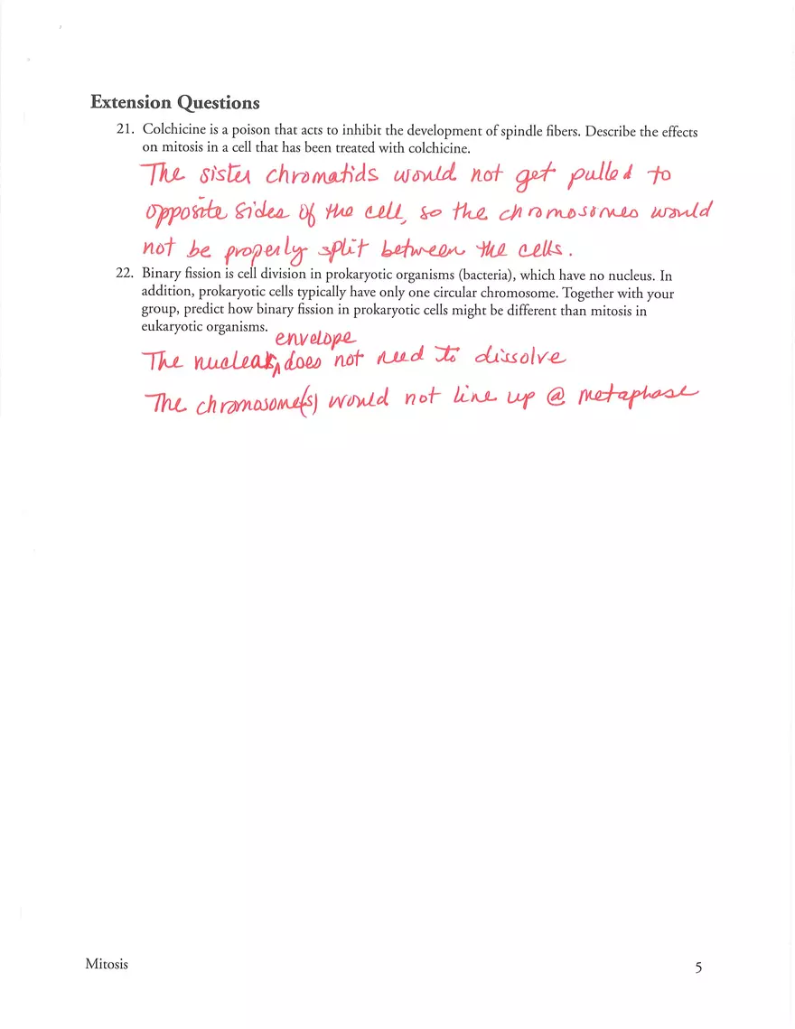 Mitosis POGIL Key - Page 5