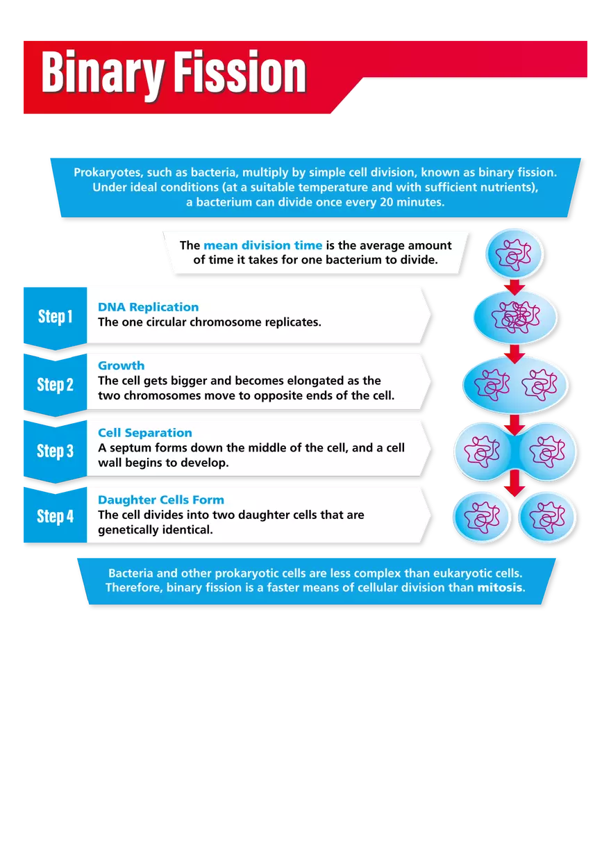 Binary Fission - Page 1