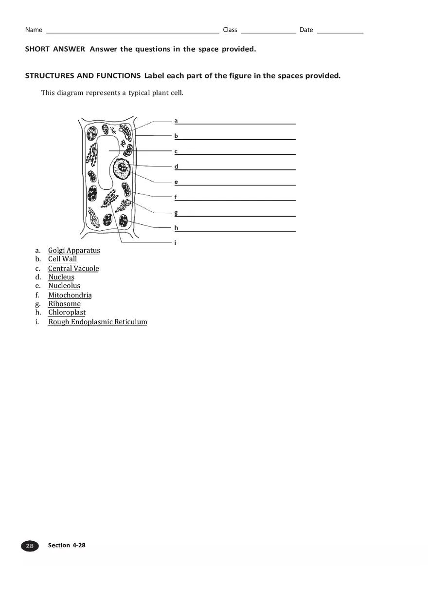 Unique Features of Plant Cells Section 4-4 - Page 4