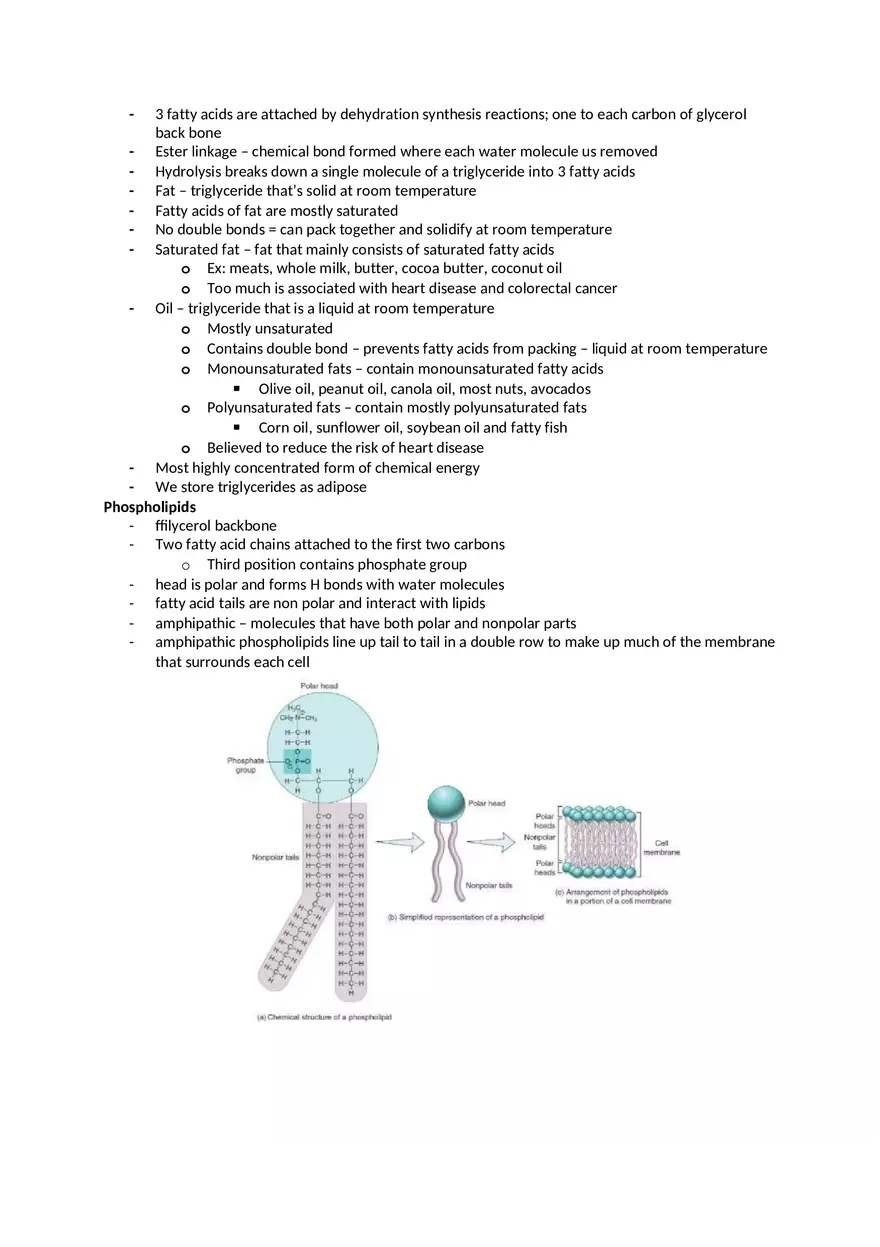 Chapter 2 The Chemical Level of Organization - Page 9