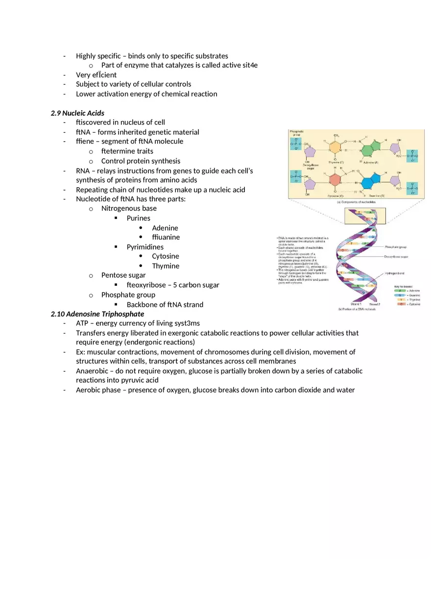 Chapter 2 The Chemical Level of Organization - Page 3
