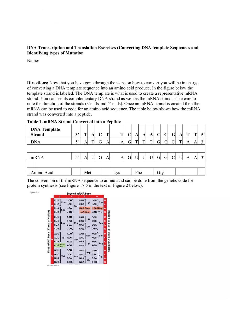 DNA Replication Transcription Translation Lab Worksheet - Page 2
