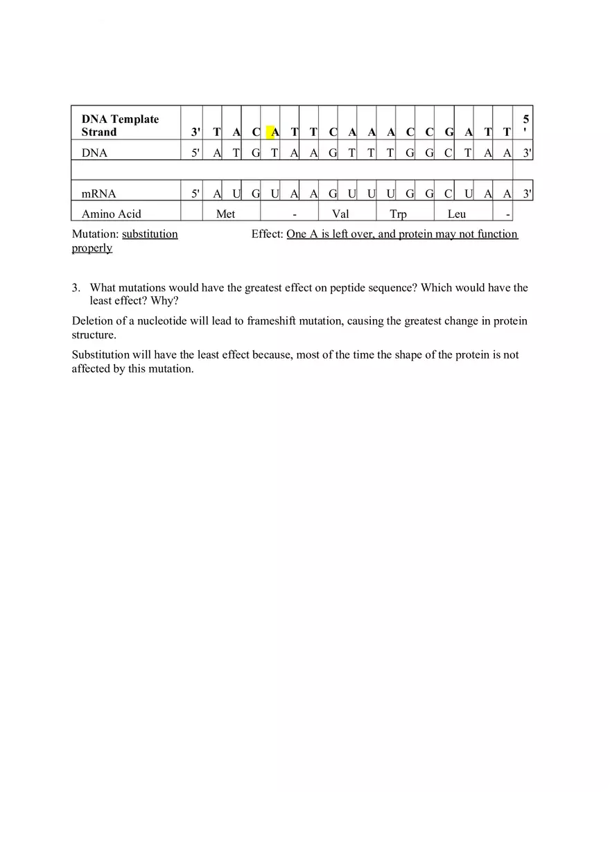 DNA Replication Transcription Translation Lab Worksheet - Page 5