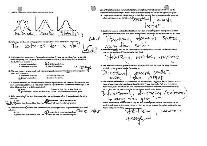 Types of Selection (Worksheet Answers) - Page 2
