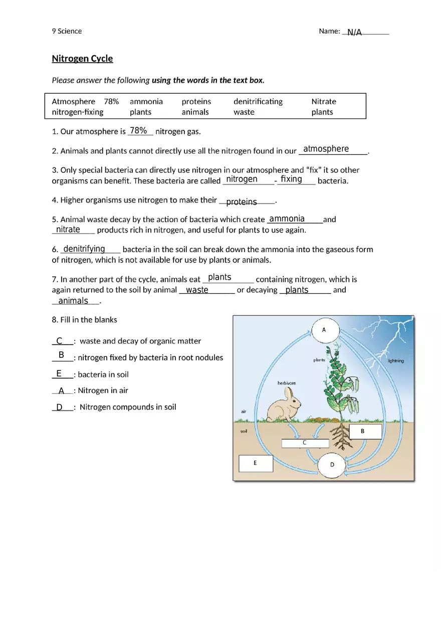 Nitrogen Cycle Worksheet - Page 1