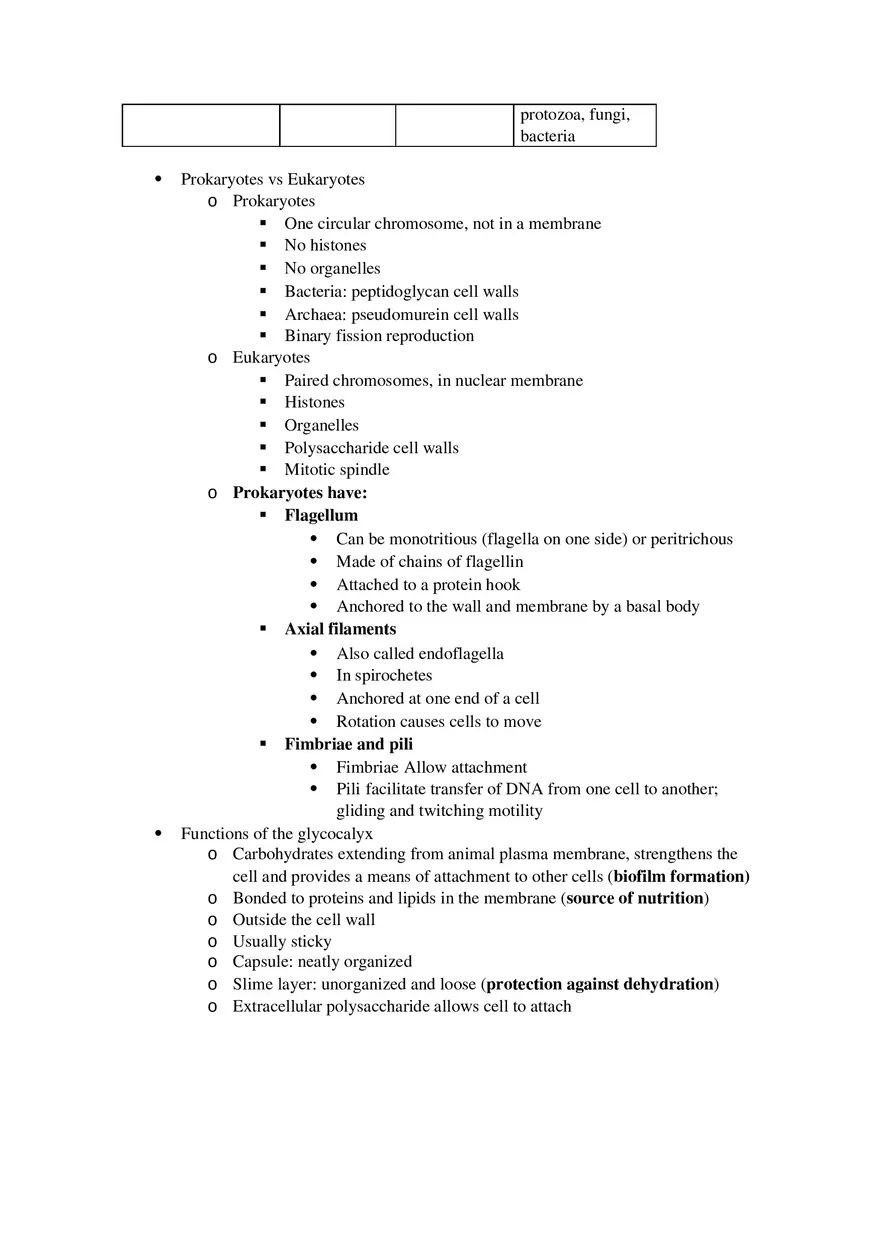 Microbiology Final Exam Study Guide - Page 13