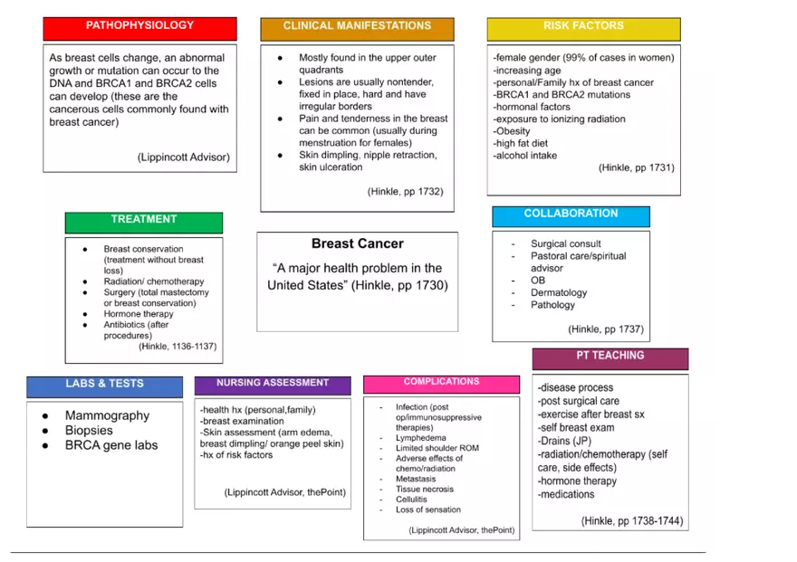 Breast Cancer Concept Map - Page 1