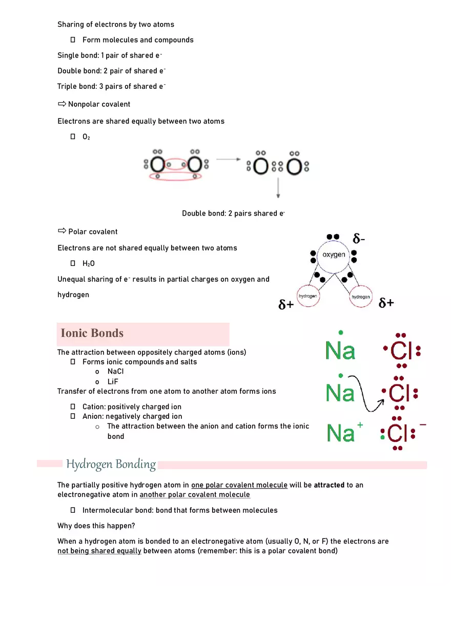 Unit 1.1 Properties of Water - Page 3