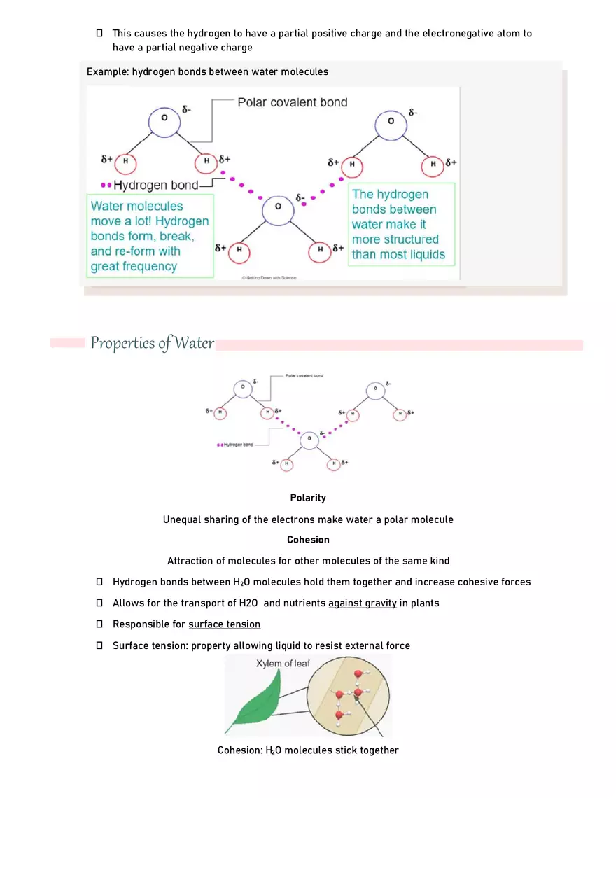 Unit 1.1 Properties of Water - Page 4