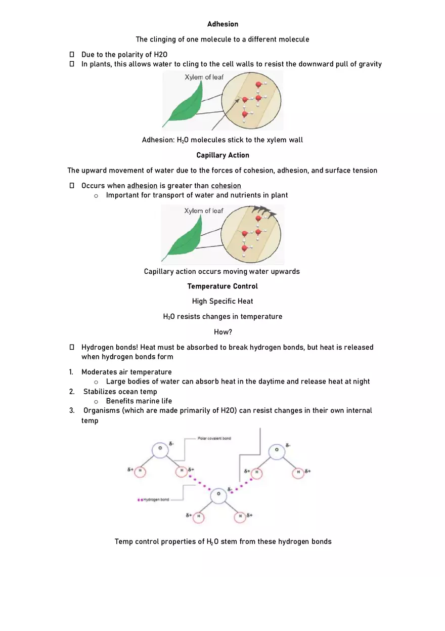 Unit 1.1 Properties of Water - Page 5