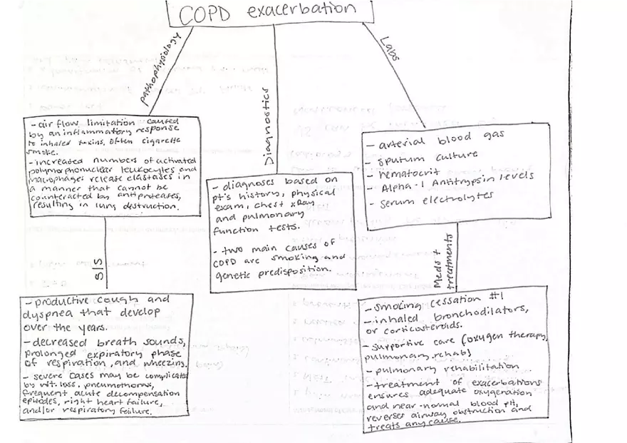 COPD Exacerbation Concept Map - Page 1