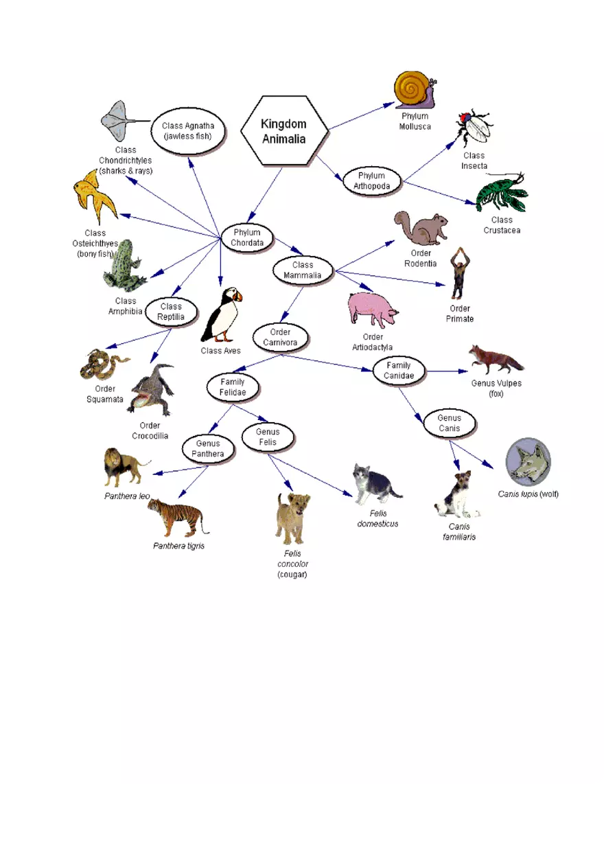 Interpreting Graphics – Taxonomy - Page 3