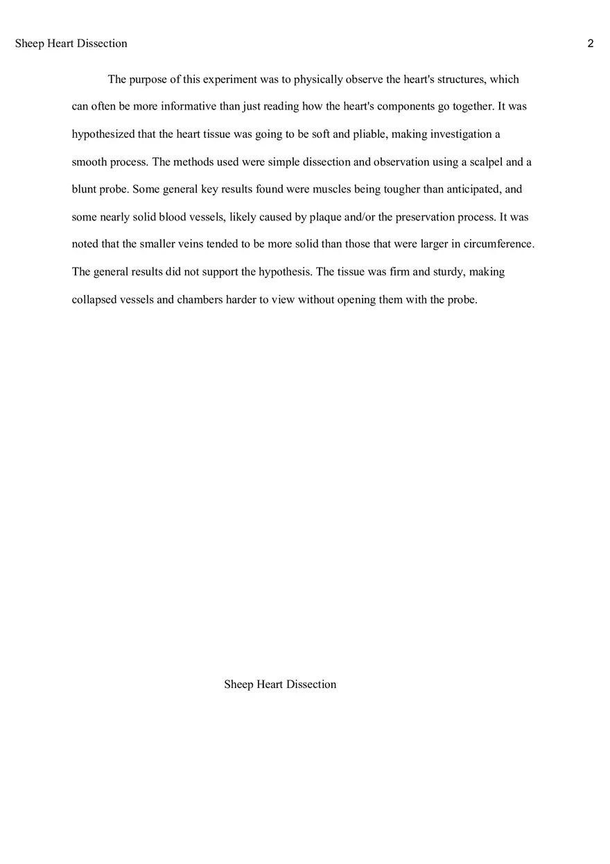Sheep Heart Dissection Report - Page 1