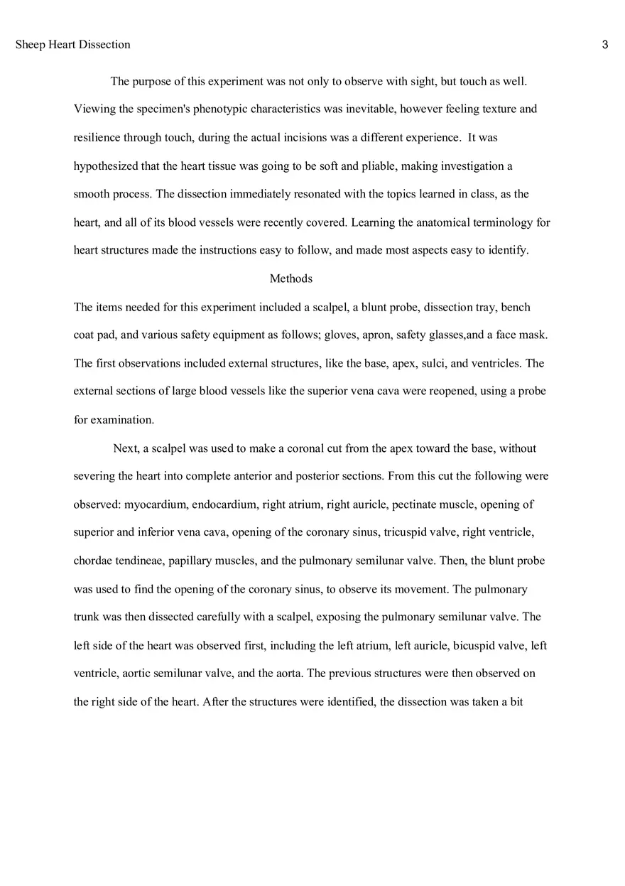 Sheep Heart Dissection Report - Page 2