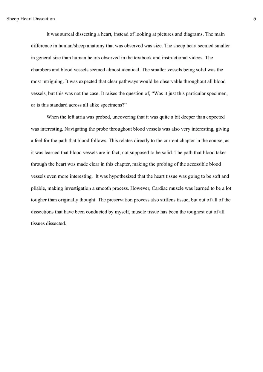 Sheep Heart Dissection Report - Page 4