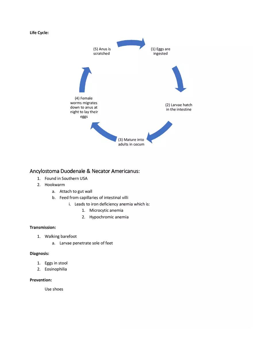 Intestinal Worms - Page 2