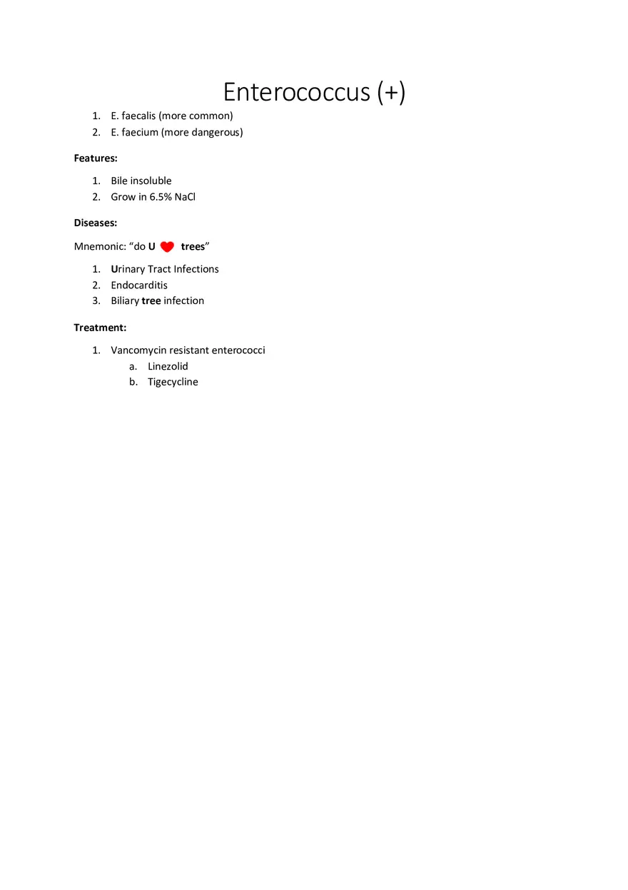 Enterococcus (+) - Page 1