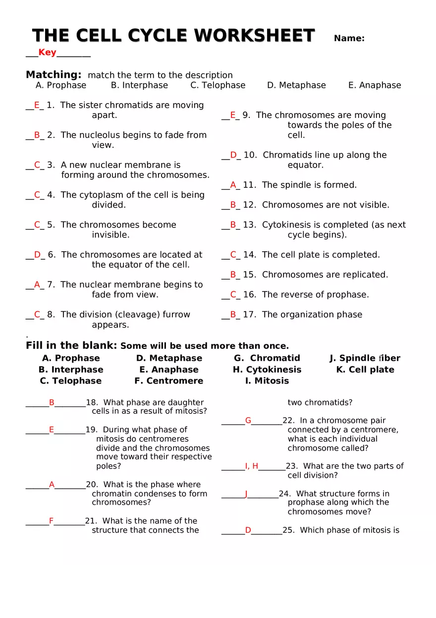 The Cell Cycle Worksheet Key - Page 1