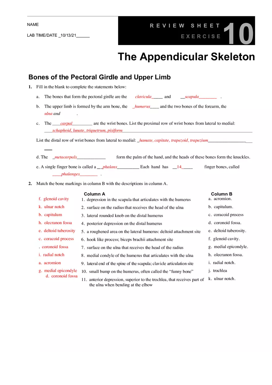 The Appendicular Skeleton - Page 1