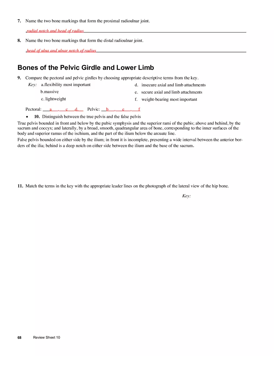 The Appendicular Skeleton - Page 4