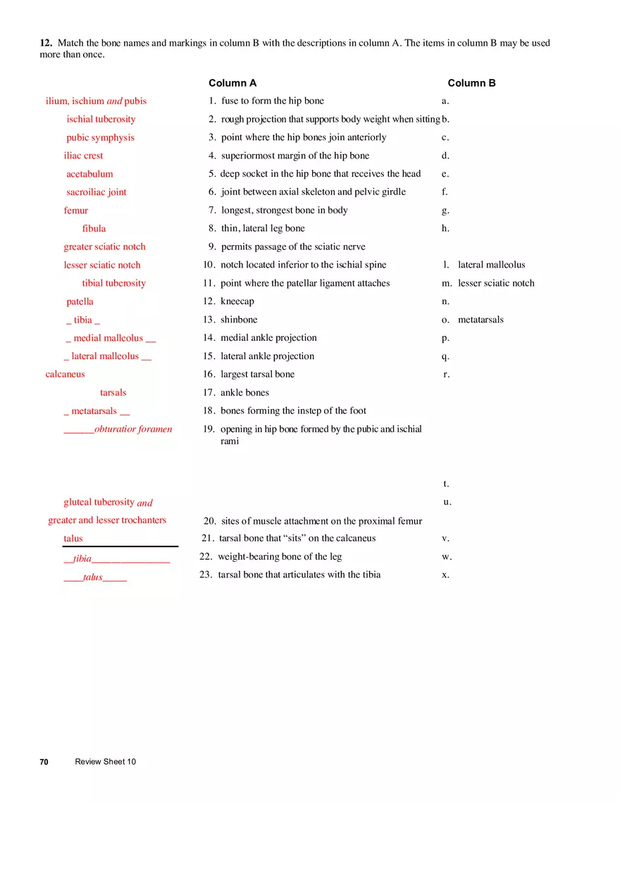 The Appendicular Skeleton - Page 6