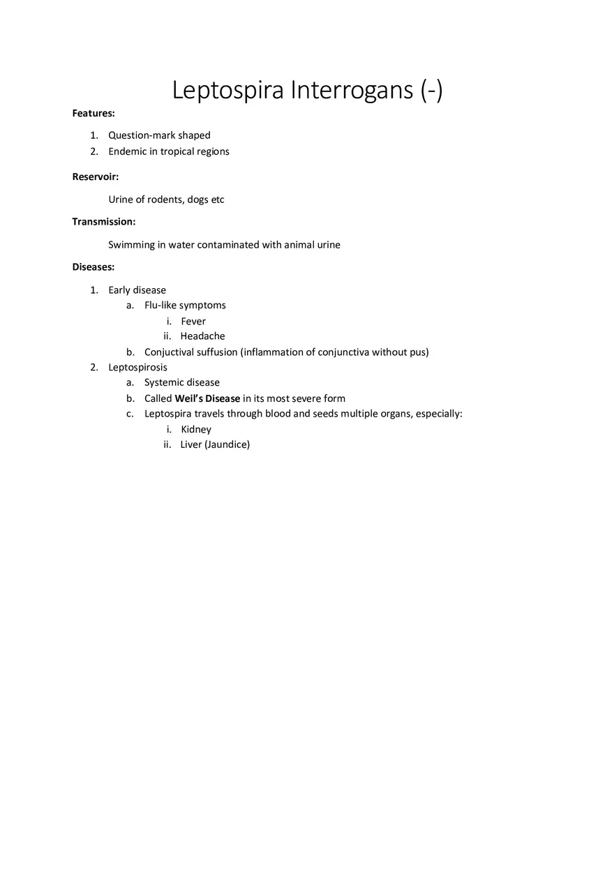 Leptospira Interrogans (-) - Page 1