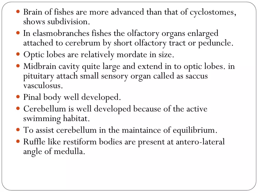 Comparative Account of Nervous System of Vertebrates - Page 8