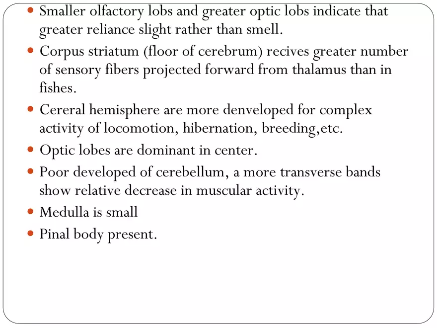 Comparative Account of Nervous System of Vertebrates - Page 11