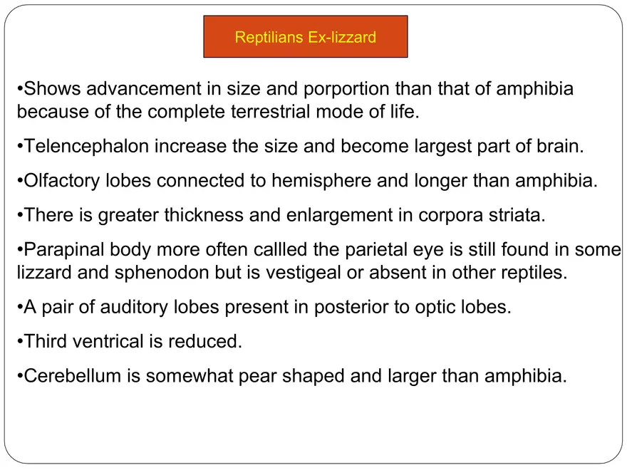 Comparative Account of Nervous System of Vertebrates - Page 12