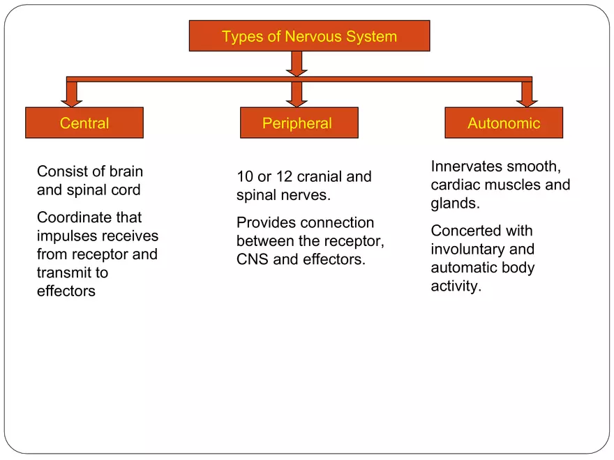 Comparative Account of Nervous System of Vertebrates - Page 13