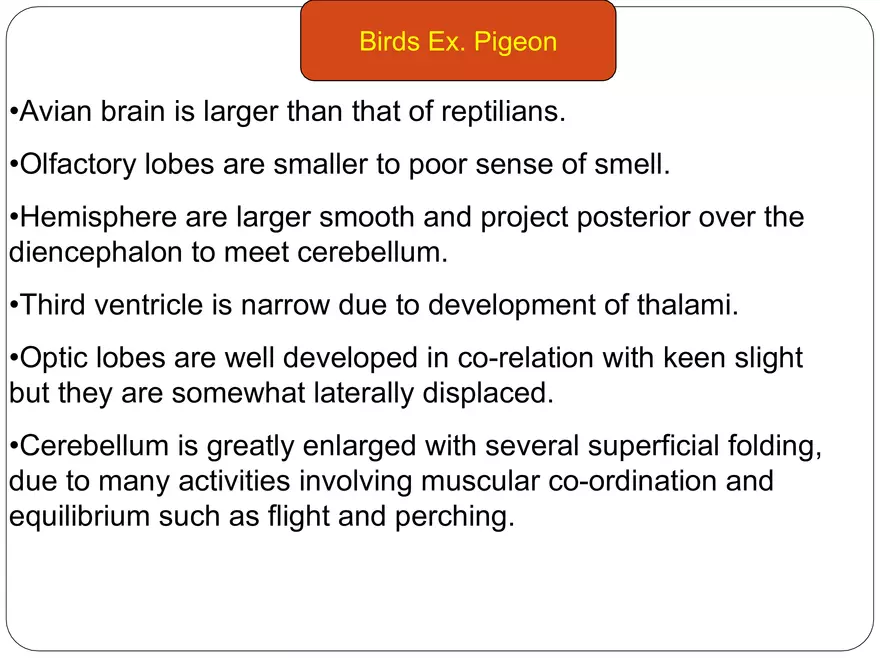 Comparative Account of Nervous System of Vertebrates - Page 15