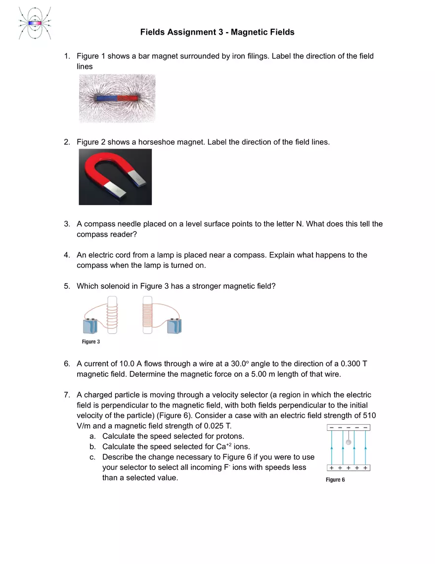 Fields Assignment 3 - Magnetic Fields - Page 1