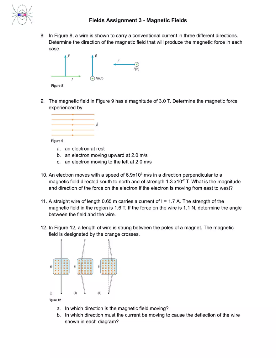 Fields Assignment 3 - Magnetic Fields - Page 2