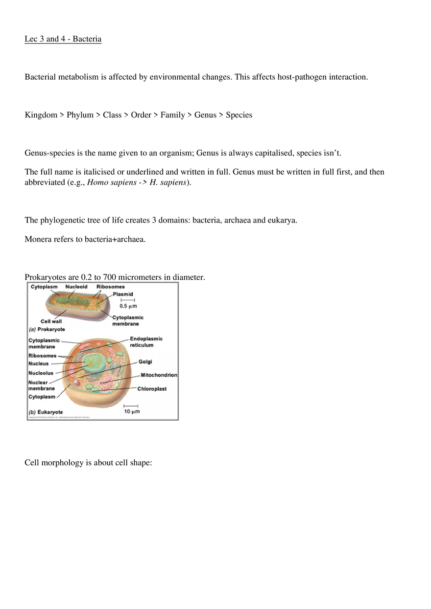 Microbiology - Bacteria - Page 1
