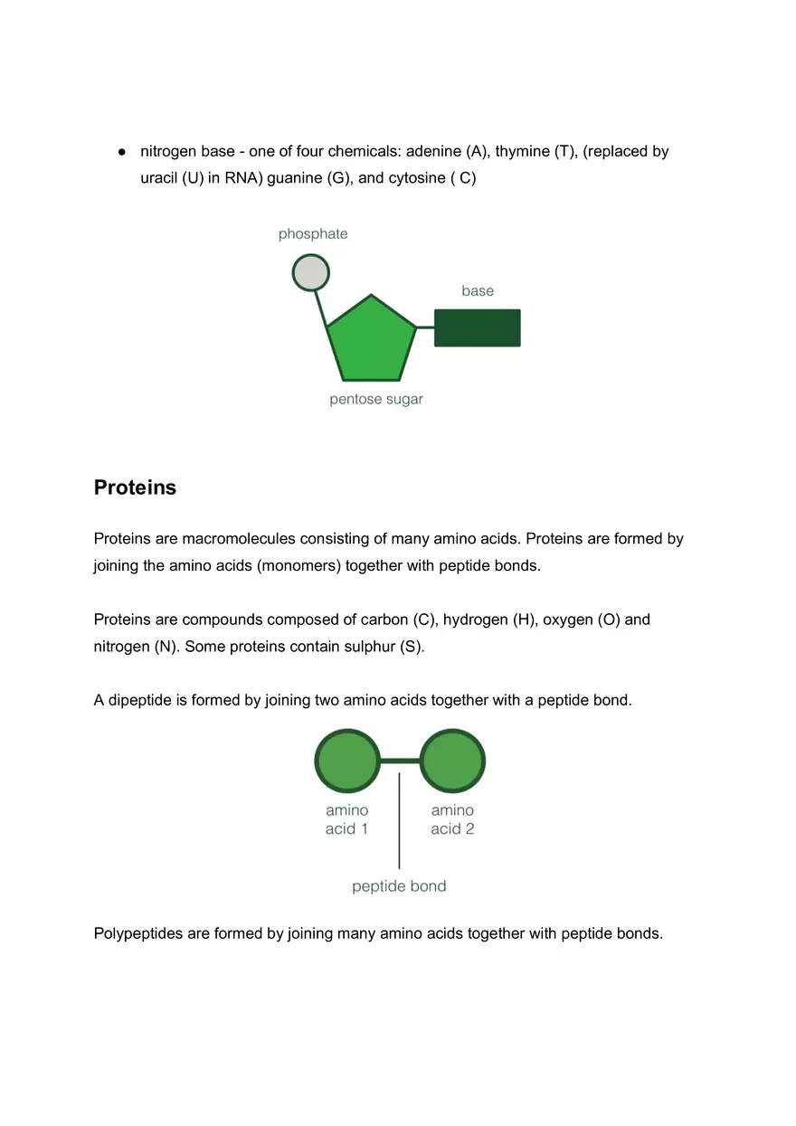 Biological Molecules Lecture Note - Page 2