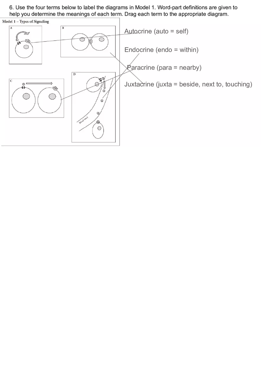 How Can Cells Send Signals to Each Qther - Page 17