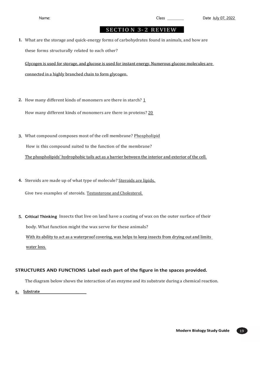 Carbon Compounds Section 3-2 - Page 3
