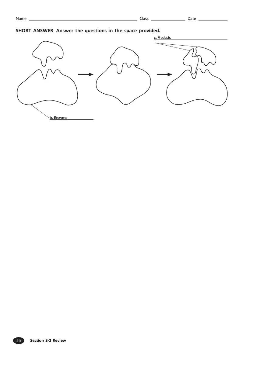 Carbon Compounds Section 3-2 - Page 4