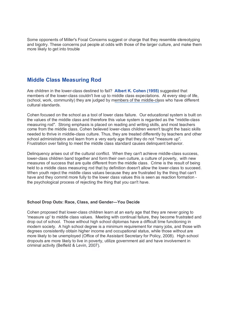 Cultural Deviance Theory - Page 3