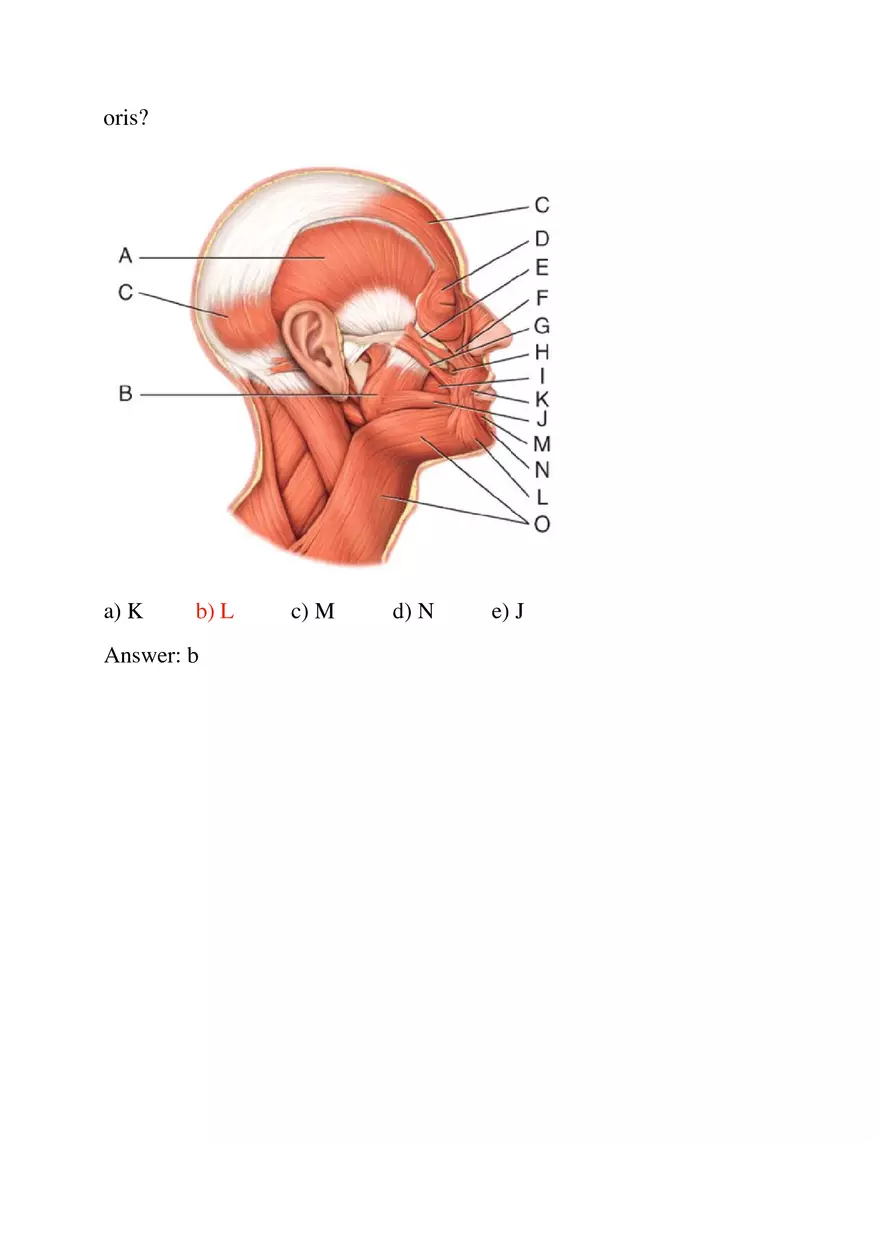 Most Muscles Cross at Least One - Page 7