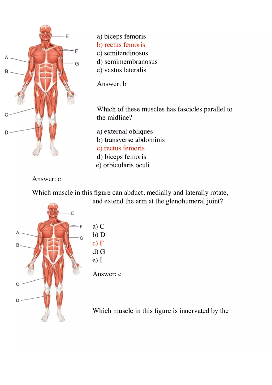 Most Muscles Cross at Least One - Page 4
