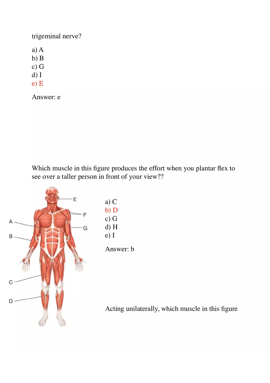 Most Muscles Cross at Least One - Page 5
